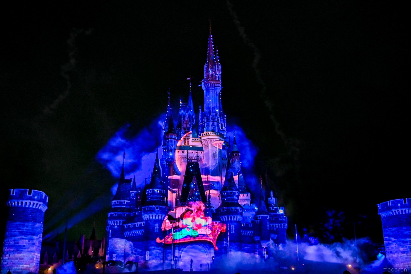 東京ディズニーランド®「リーチ フォー ザ スターズ」の全貌レポ