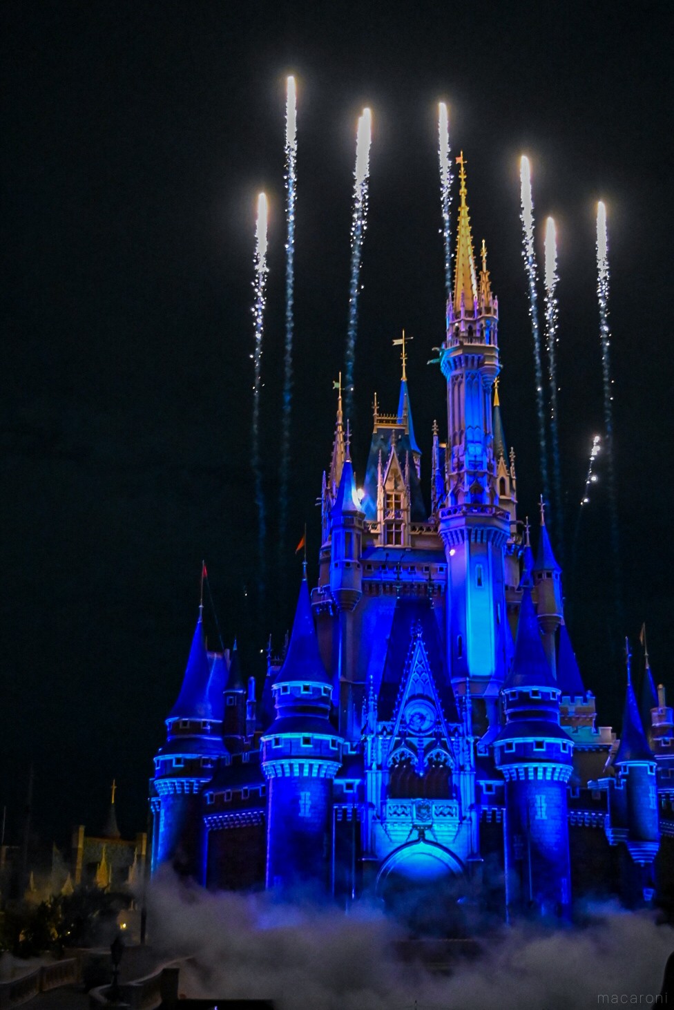 東京ディズニーランド®「リーチ フォー ザ スターズ」の全貌レポ