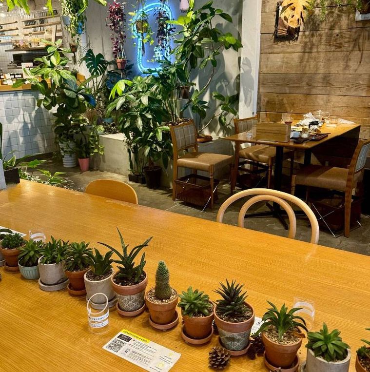 観葉植物が随所に置かれたサキモトベーカリーカフェ 大阪初號本店の店内