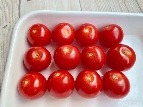 ミニトマトは冷凍保存がおすすめ 保存方法と食べ方アレンジをご紹介 Macaroni