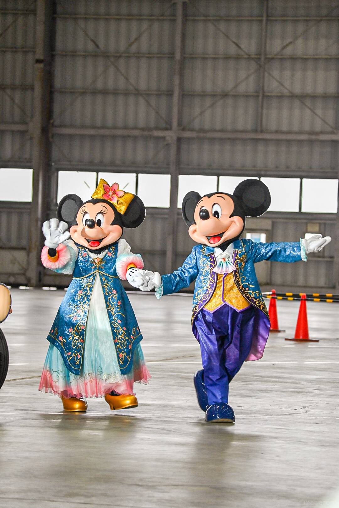 機内に潜入！ファンタジースプリングスの特別塗装機「JAL Fantastic