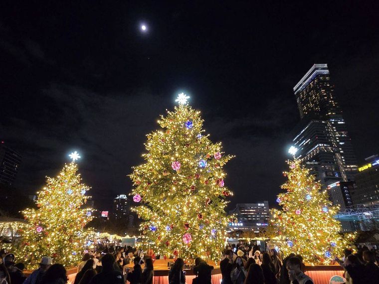 天王寺公園・てんしばで開催されるクリスマスマーケットin大阪 てんしば 2025のクリスマスツリー