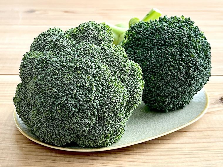 皿の上にブロッコリーが2個置かれている