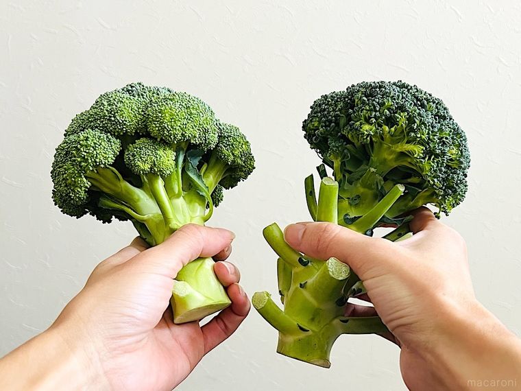 ブロッコリーを両手に1本ずつ持っている様子