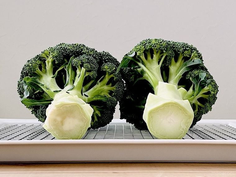 ブロッコリーが2個並んでいる