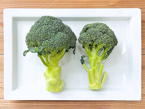 買うなら大と小どっちおいしいブロッコリーの選び方に初めて知った意外かも