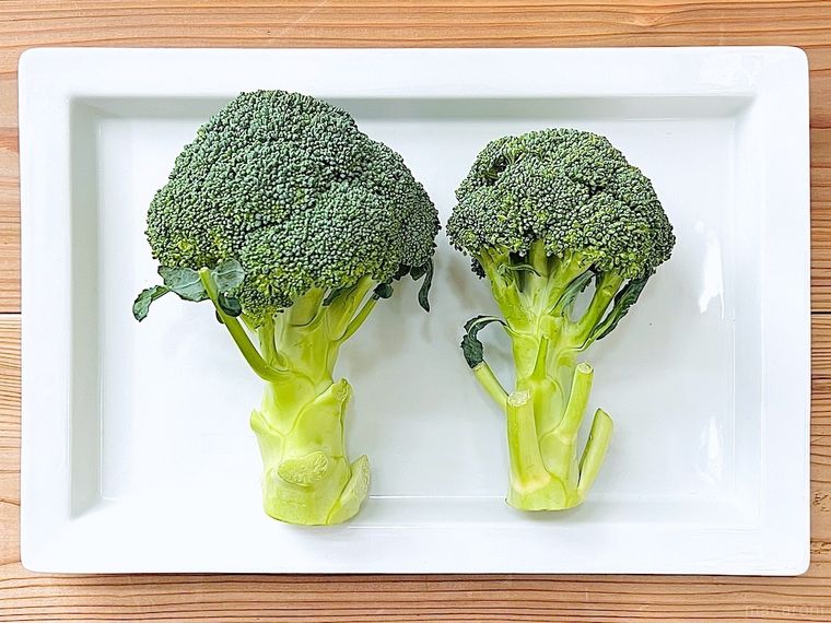 皿の上にブロッコリーが2個並んでいる