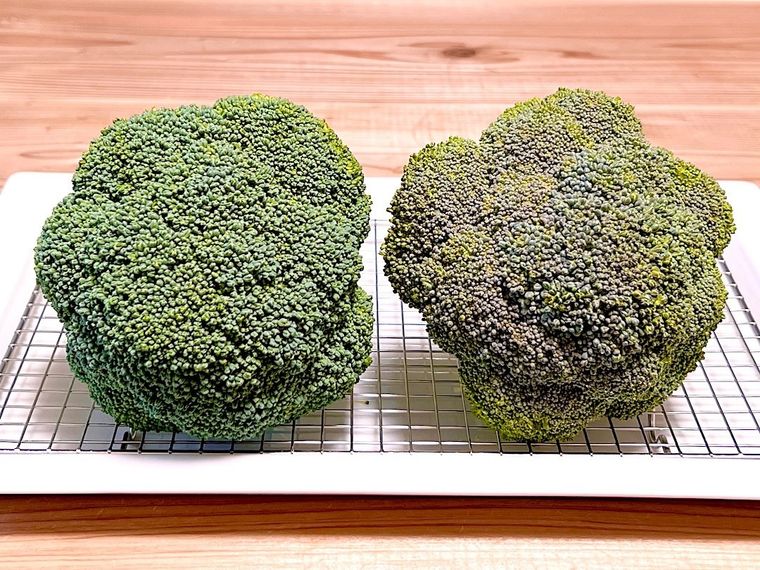 緑色のブロッコリーと紫色のブロッコリー