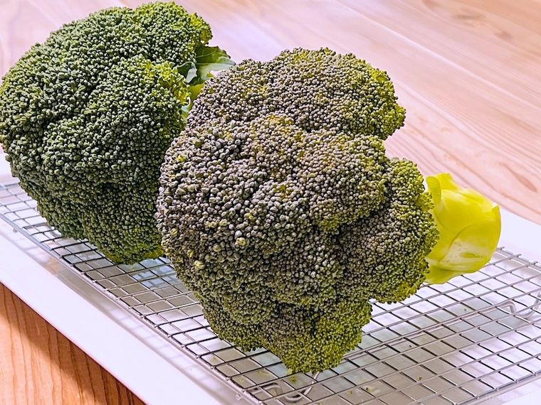 緑色のブロッコリーと紫色のブロッコリー