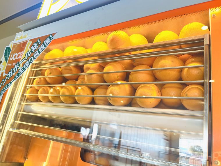 オレンジが並んでいる様子