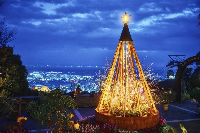 布引ハーブ園で開催されている神戸クリスマスマーケット2024古城のクリスマスのクリスマスツリー