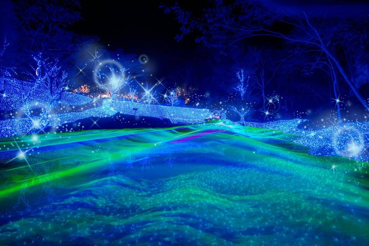 ネスタリゾート神戸で開催されるネスタイルミナ光のさんぽみちのイメージ画像