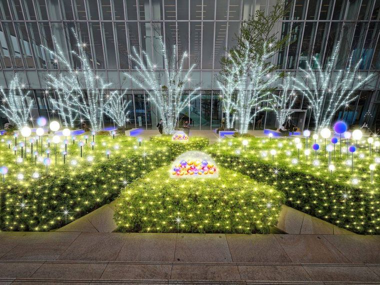 あべのハルカス 天空のイルミネーション2025の16階屋外庭園イルミネーション