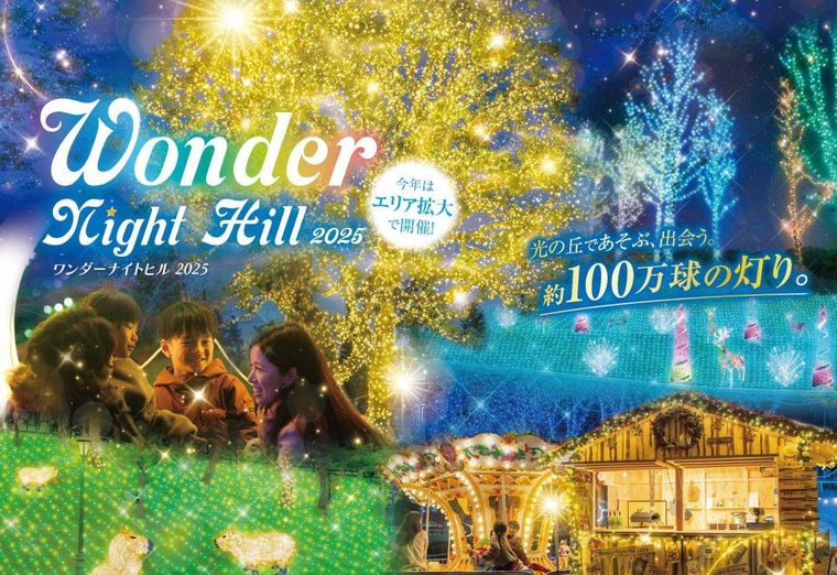 ハーベストの丘のWonder Night Hill 2025のイルミネーションの様子