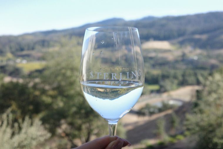 ワイングラス越しの山景色