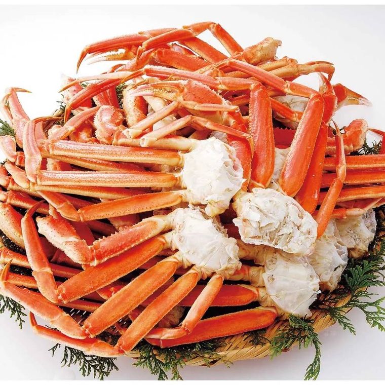 ワケありズワイガニの脚 3Lサイズ