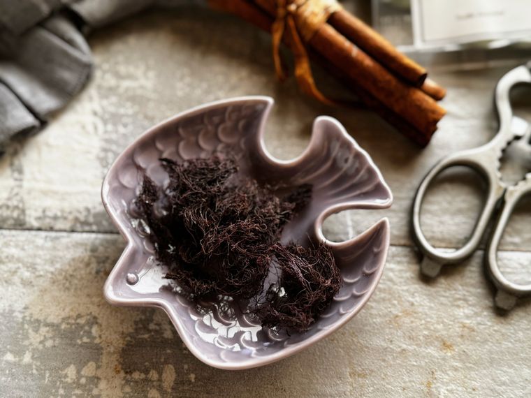 パープルの小鳥型ミニプレートにのったトリュフ海藻