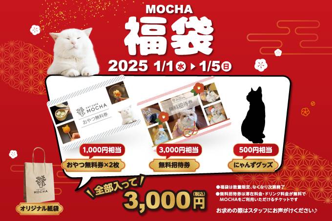 2025年「猫カフェ MOCHAの福袋」は元旦から発売！猫好きにたまらない気