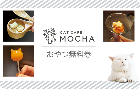 猫カフェmocha 無料招待券 3枚 2026/6/30まで ネコカフェ 猫カフェ