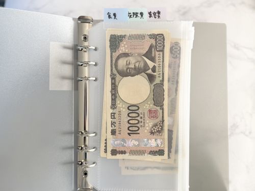 2025年最新】ダイソー「家計簿」4種を比較。ファイルでお金管理ケース 