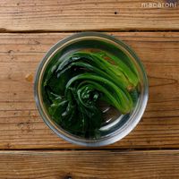 作り方 ほうれん草のシチュー