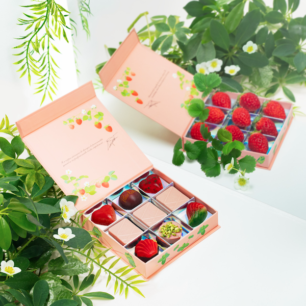 コフレ フレーズ