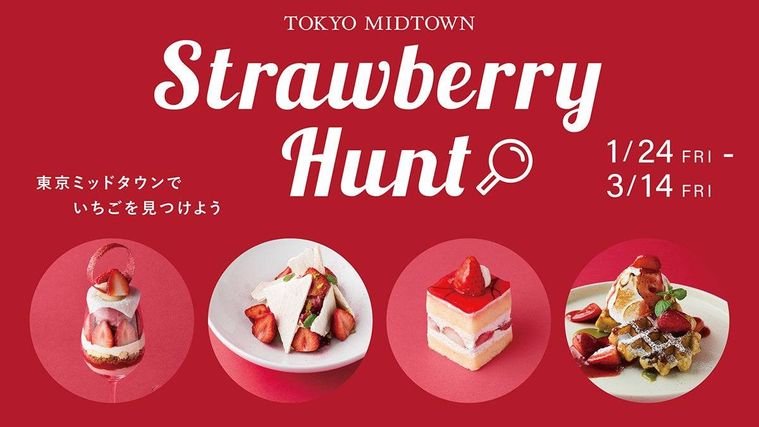 「Strawberry Hunt」