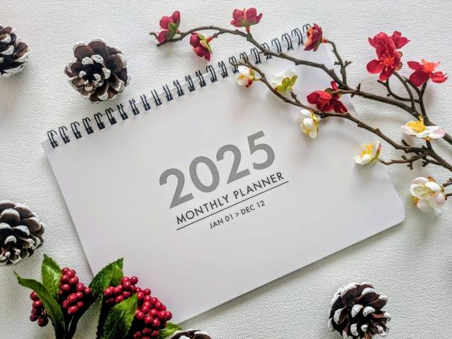 2025 春節联歡晚会~初一 (旧正月初日)専用はページ 2025 年春节联欢晚会| UN Web TV
