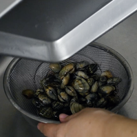 作り方 基本のあさりの酒蒸し