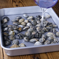 作り方 基本のあさりの酒蒸し