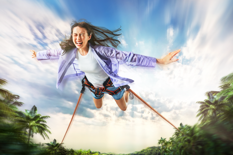 ヒューマンアローのイメージ