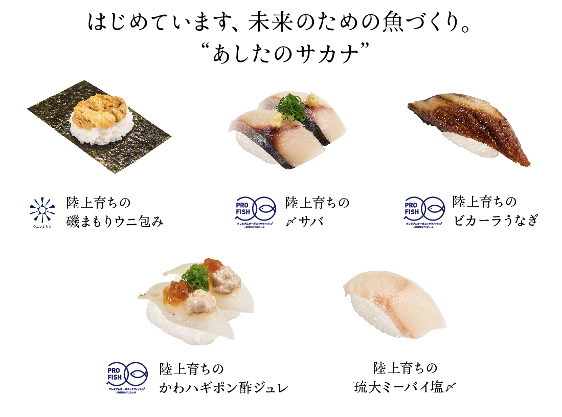 スシローさま専用 回転寿司スシロー期間限定】大切り中トロ100円濃厚うに包み120円