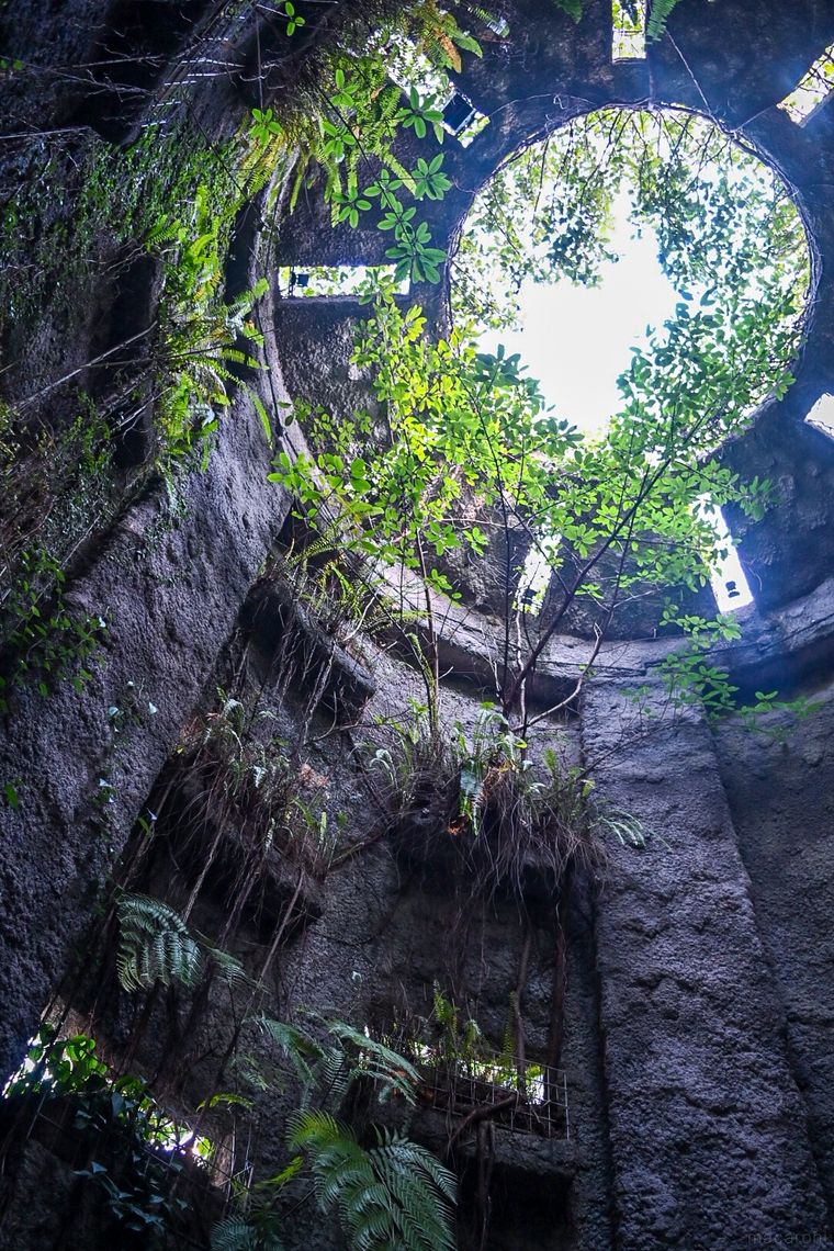 植物園の温室の入口