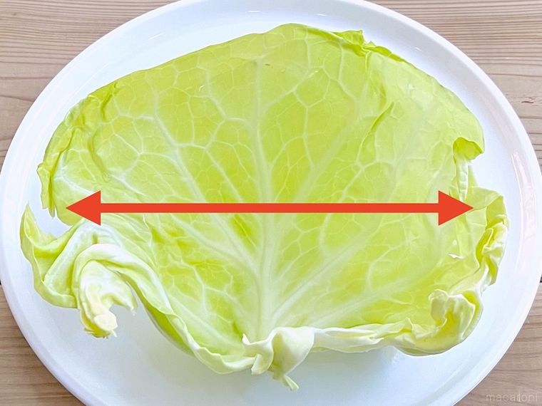キャベツの葉