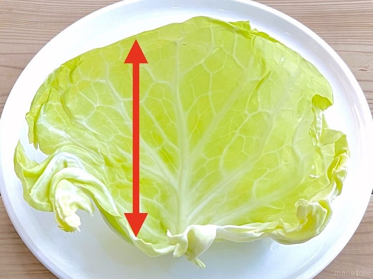 キャベツの葉