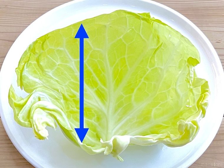 キャベツの葉
