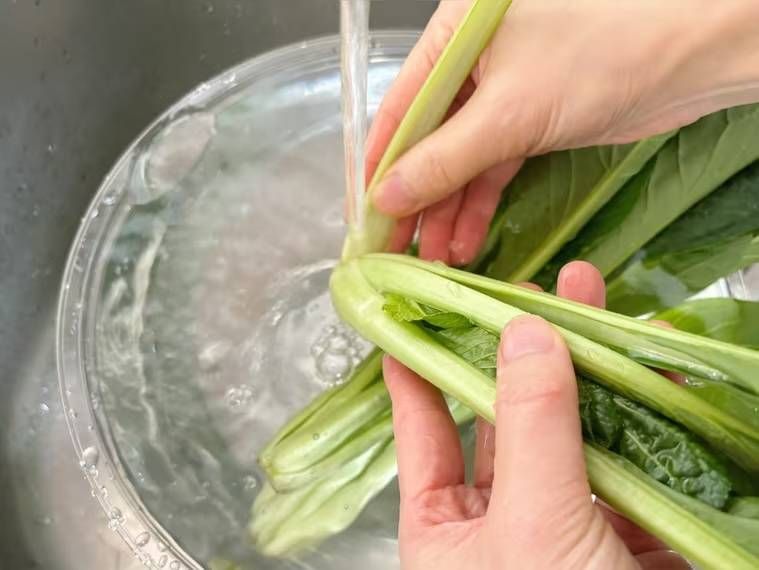 小松菜を洗っている様子