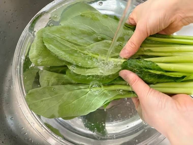 小松菜を洗っている様子