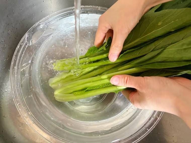 小松菜を洗っている様子