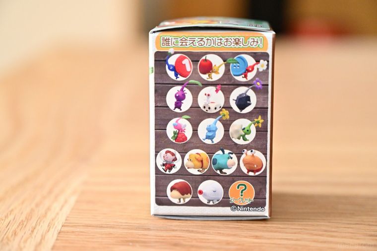 フィギュアの一覧が掲載されているチョコエッグ箱の側面