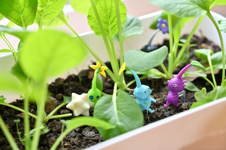 植物を植えたプランターにピクミンのフィギュアを配置した
