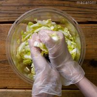 作り方 白菜とツナのマヨポンサラダ