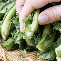 作り方 菜の花のからし和え