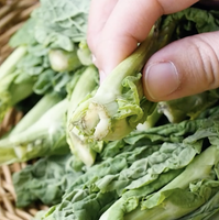 作り方 菜の花のからし和え