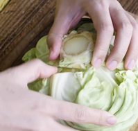 作り方 春キャベツのロールキャベツ