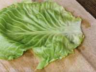 作り方 春キャベツのロールキャベツ