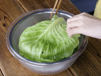 作り方 春キャベツのロールキャベツ