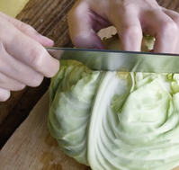 作り方 春キャベツのロールキャベツ