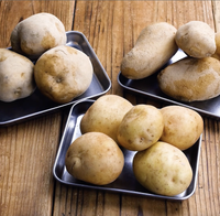 作り方 じゃがいもの煮っ転がし