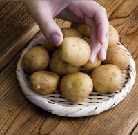 作り方 じゃがいもの煮っ転がし